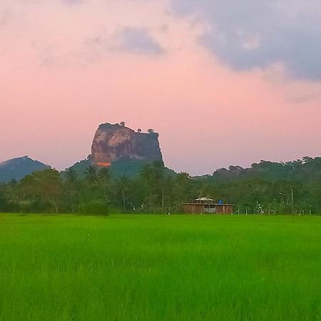 Nice View Lodge Sigiriya Exterior foto