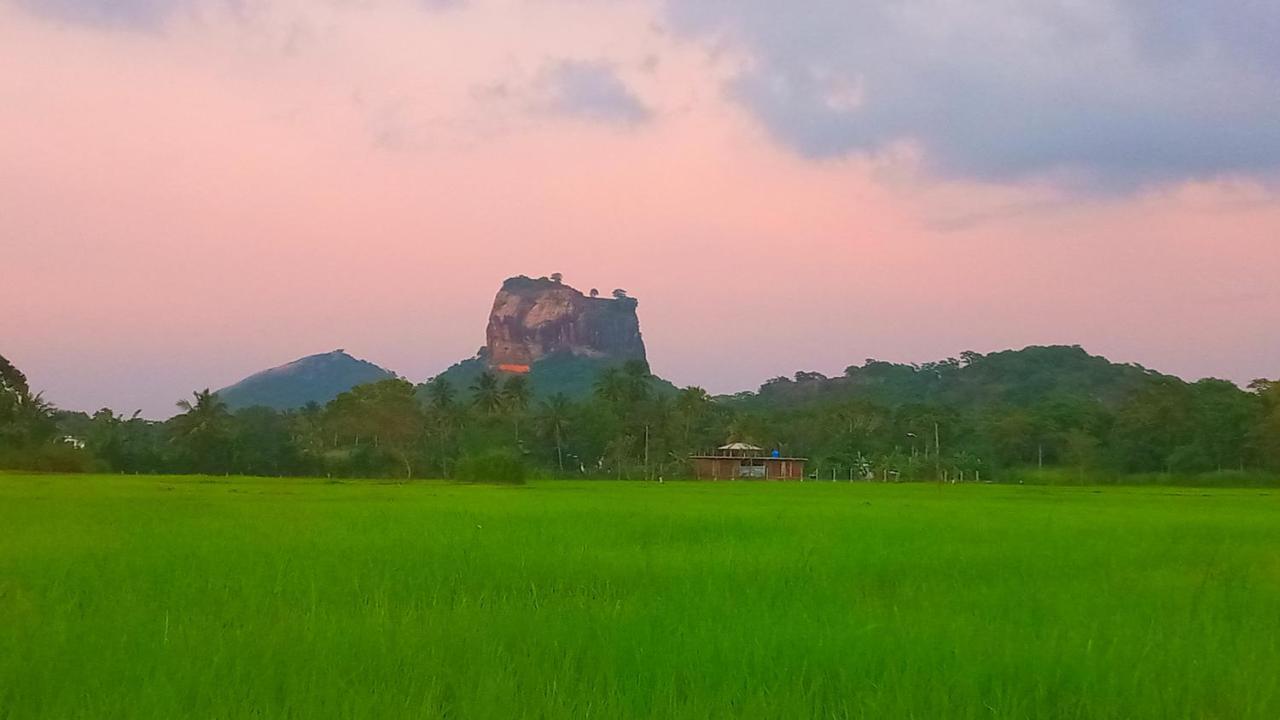 Nice View Lodge Sigiriya Exterior foto