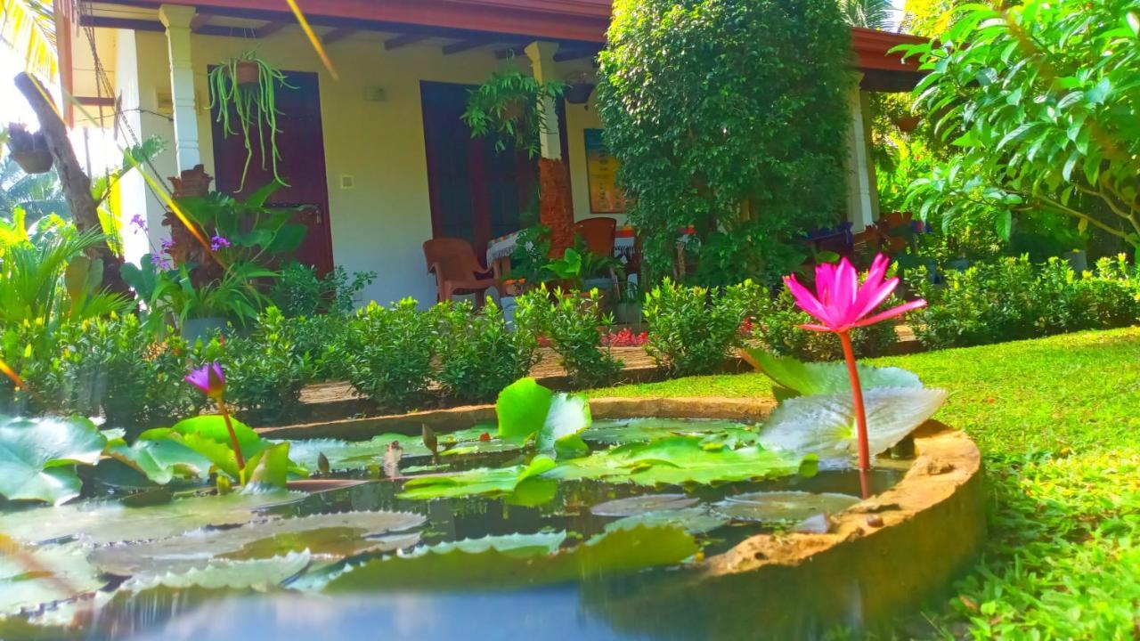 Nice View Lodge Sigiriya Exterior foto