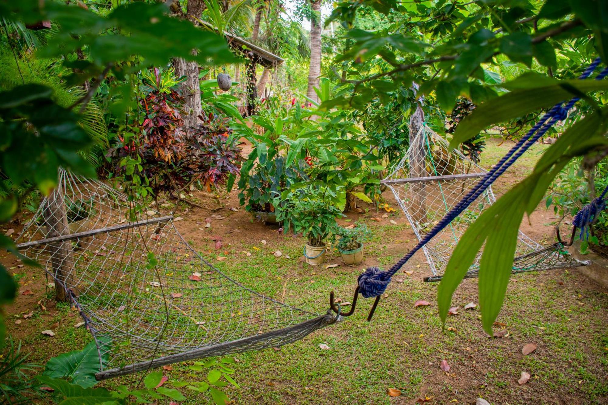 Nice View Lodge Sigiriya Exterior foto