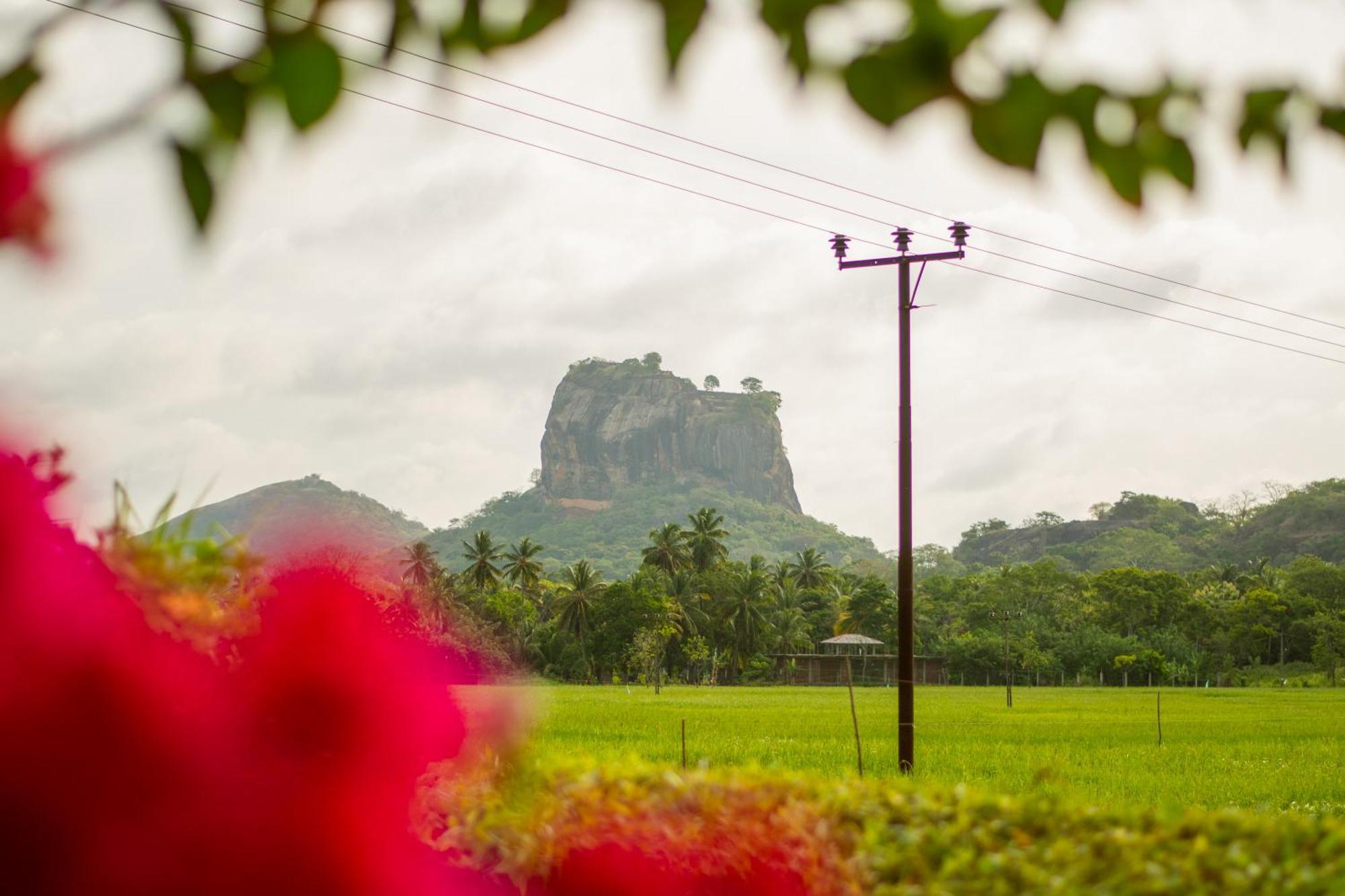 Nice View Lodge Sigiriya Exterior foto