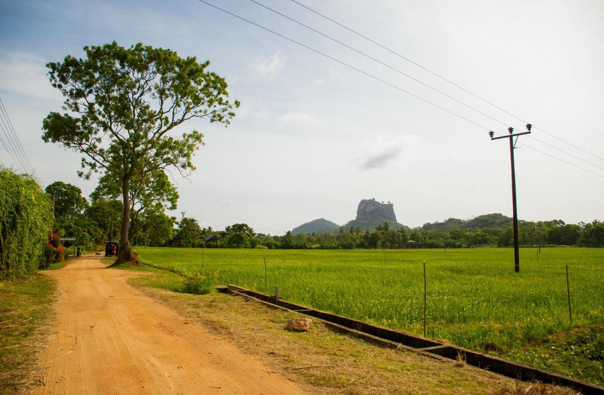 Nice View Lodge Sigiriya Exterior foto
