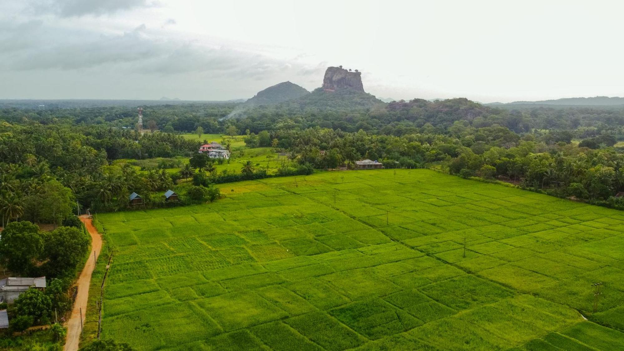 Nice View Lodge Sigiriya Exterior foto