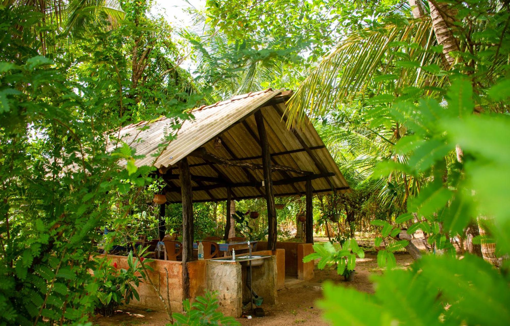 Nice View Lodge Sigiriya Exterior foto