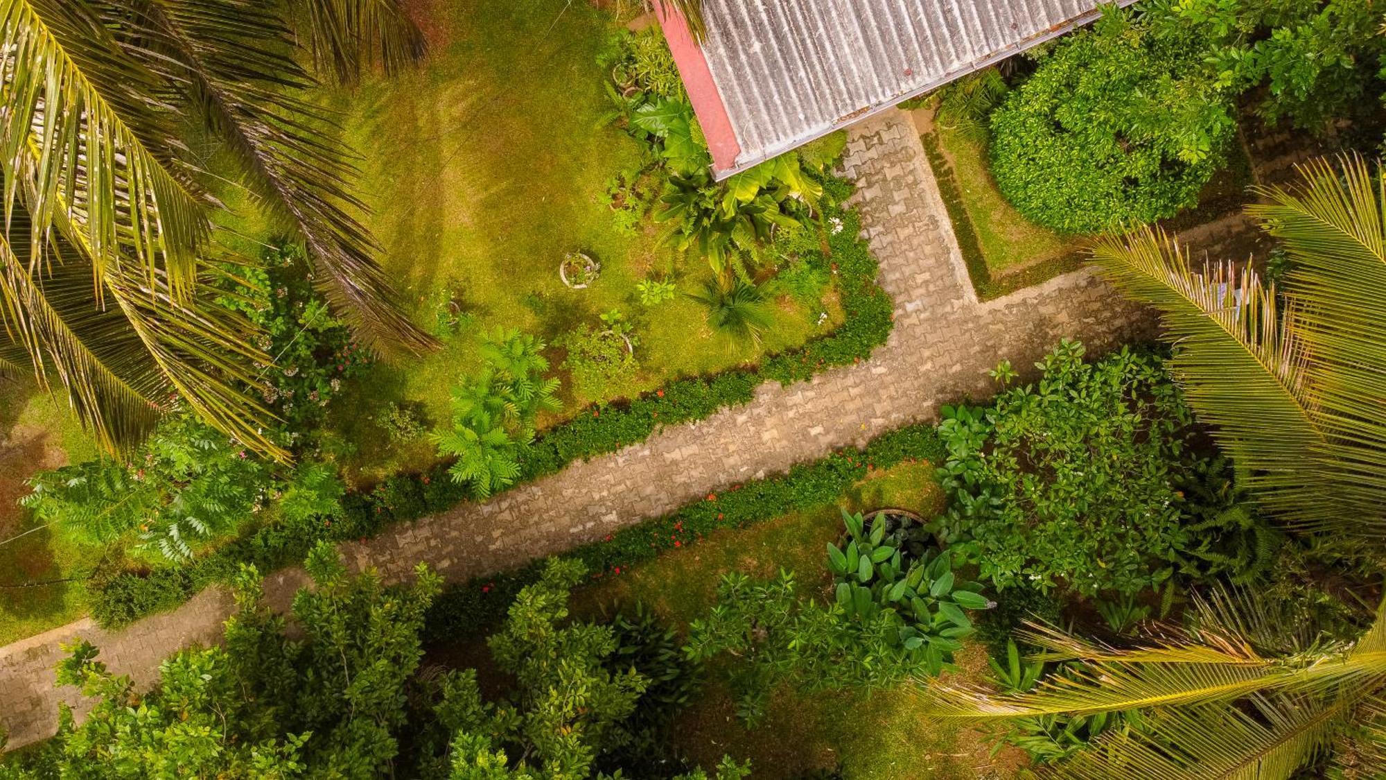 Nice View Lodge Sigiriya Exterior foto