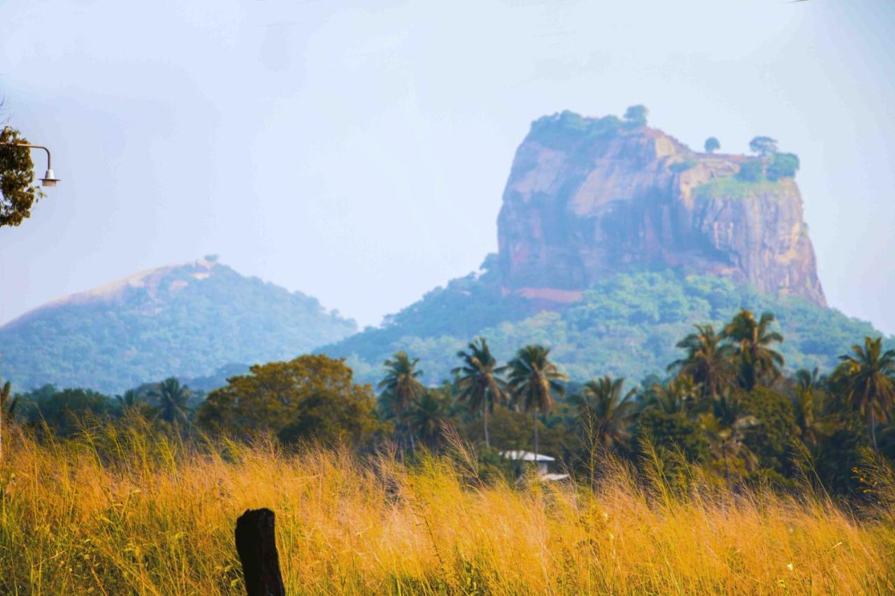 Nice View Lodge Sigiriya Exterior foto